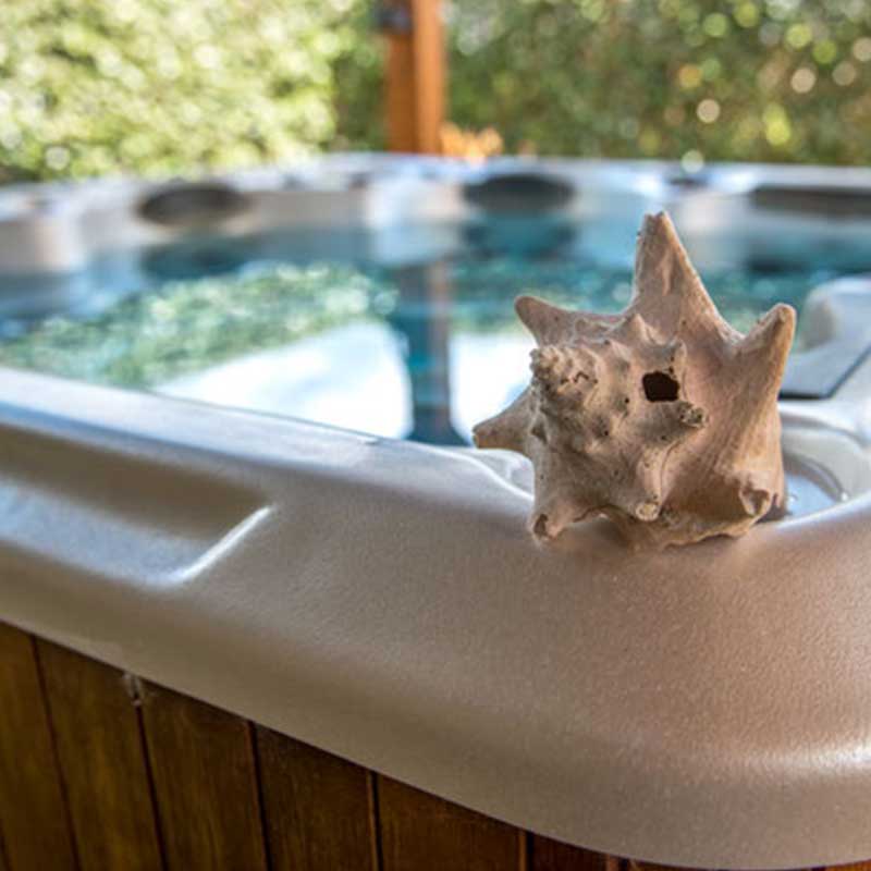 maison-d-hote-chateau-la-lagune-de-mercey-saint-andre-de-cubzac-jaccuzi